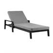 Armen Living Cayman Aluminum Outdoor Adjustable Chaise Lounge Chair in Gray
