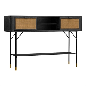 Armen Living Saratoga 14&quot 2-Drawer Modern Wood Console Table in Black