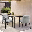 Armen Living Aileen Outdoor Fabric/Rattan Dining Chairs in Gray/Black (Set of 2)
