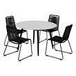 Sydney and Shasta 5 Piece Patio Outdoor Dining Set