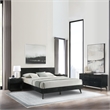 Armen Living Petra King Platform Wood Bed Frame with Tapered Legs in Black