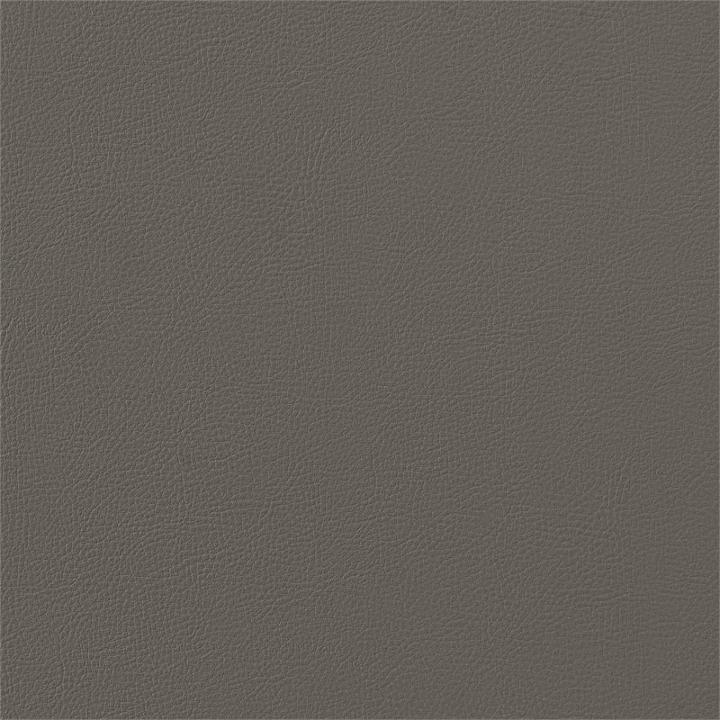 Shannon Dining Chair with Matte Black Iron & Light Gray Faux Leather - Set of 2