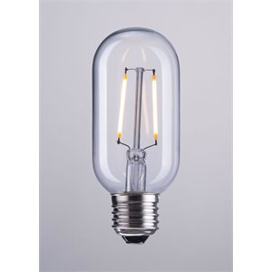 zuo 2 watt led light bulb