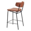 Charon Counter Stool (Set of 2) Vintage Brown