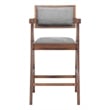 Delhi Counter Stool (Set of 2) Gray & Walnut