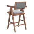 Delhi Counter Stool (Set of 2) Gray & Walnut