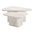 Navidic Coffee Table Set (2-Piece) Whitewashed