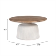 ZUO Goblet Recycled Sand Cast Glass and Iron Coffee Table in Brown & White