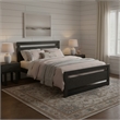ZUO Repos Engineered Wood and Plywood Queen Bed in Black