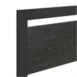 ZUO Repos Engineered Wood and Plywood Queen Bed in Black