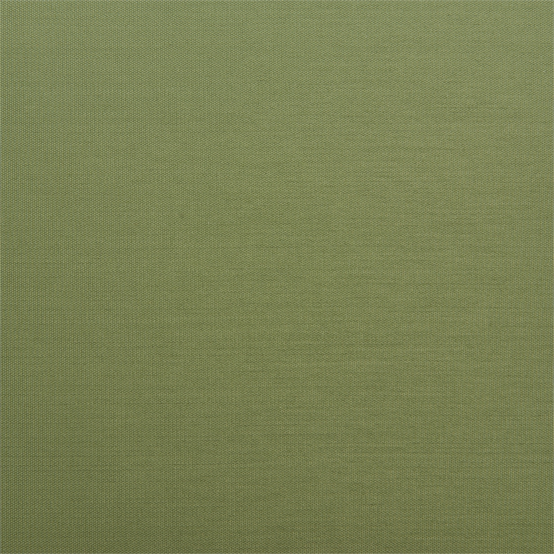 Rio Dining Chair (Set of 2) Green