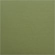 Rio Dining Chair (Set of 2) Green
