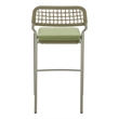 Rio Barstool (Set of 2) Green