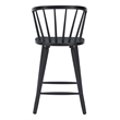 Stenger Counter Stool (Set of 2) Black