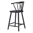 Stenger Counter Stool (Set of 2) Black