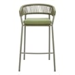 Skye Barstool (Set of 2) Green