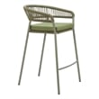 Skye Barstool (Set of 2) Green
