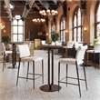 Freesia Counter Stool (Set of 2) White
