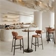 Prairie Barstool (Set of 2) Brown