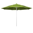 California Umbrella Venture 11' Silver Market Umbrella in Macaw