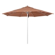 California Umbrella Venture 11' Silver Market Umbrella in Dolce Mango