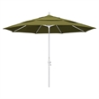 California Umbrella 11' Patio Umbrella in Palm