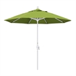 California Umbrella 9' Patio Umbrella in Macaw