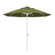 California Umbrella 9' Patio Umbrella in Palm