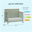 DaVinci Shea 4-in-1 Convertible Crib in Sage and Honey