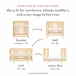 Babyletto Pogo 8-in-1 Convertible Crib in Blonde