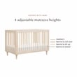 Babyletto Lolly 3-in-1 Convertible Crib in Washed Natural