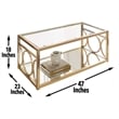 Olympia Glass Top Coffee Table in Gold Chrome
