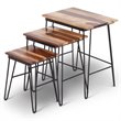 Tristan 3 Piece Nesting Table Set in Brown Sheesham wood with black metal base