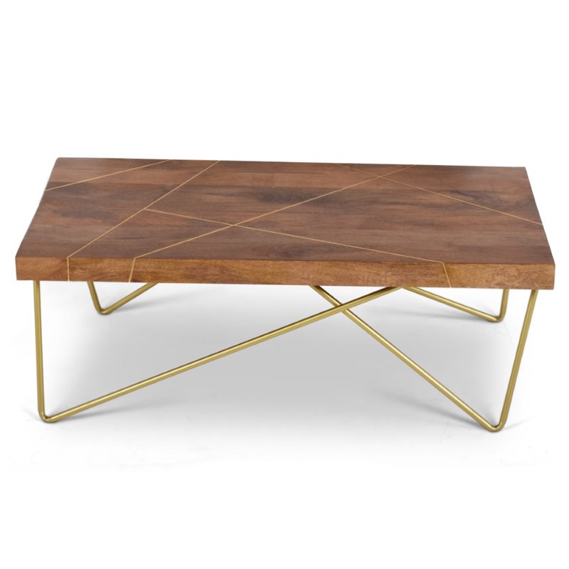 Walter Coffee Table in Warm Brown Pine and Brass