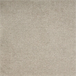 Steve Silver Rhodes Polyester Upholstered Single Motor Lift in Tan