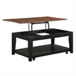 Steve Silver Joplin Lift Top Coffee Table in Brown