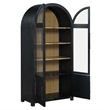 Steve Silver Magnolia Curio in Black