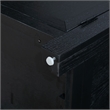 Steve Silver Magnolia Curio in Black