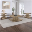 Steve Silver Canyon Brown 3pc Coffee & End Table Set
