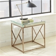 Steve Silver Evelyn 3pc Coffee & End Table Set in Tan