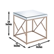 Steve Silver Evelyn 3pc Coffee & End Table Set in Tan