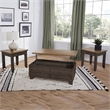 Steve Silver Bear 3pc Coffee End Table Set in Brown