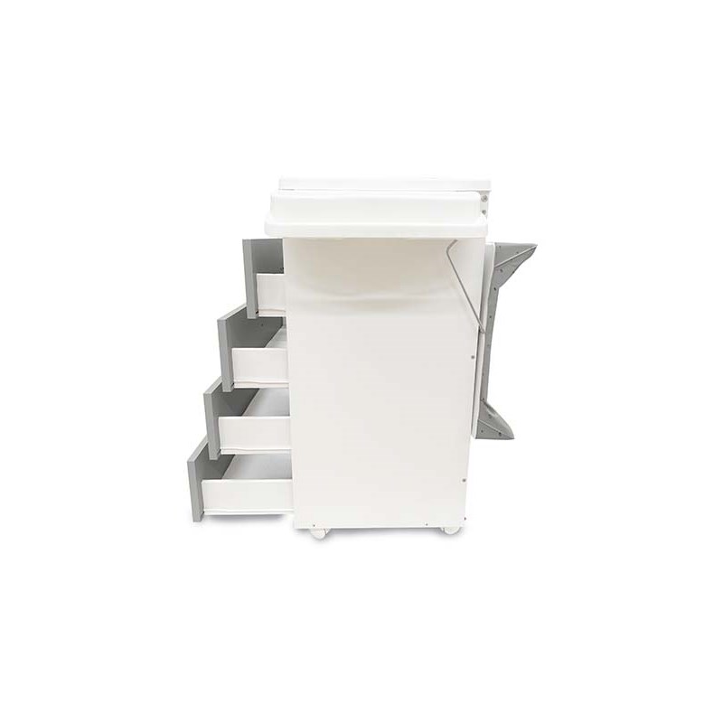 Sorelle Furniture Cassettiera Asia 4-Drawer Modern Wood Baby Bath in Multi-Color