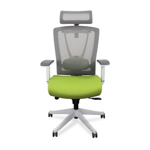 Autonomous Premium Ergonomic Office Chair in Green