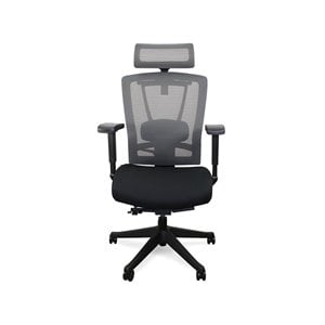 Autonomous Premium Ergonomic Office Chair in All Black