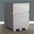 Techni Mobili 2 Drawer Mobile Vertical File Cabinet in Gray