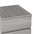 Techni Mobili 2 Drawer Mobile Vertical File Cabinet in Gray