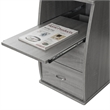 Techni Mobili Engineered Wood 2-Drawers Computer Desk with Keyboard Tray in Gray