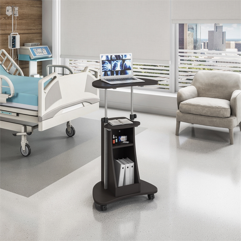 Techni Mobili Cadmus Sit-to-Stand Rolling Laptop Cart with Storage in Graphite