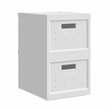 Set of 2 Collapsible Stackable Storage Box with Lids